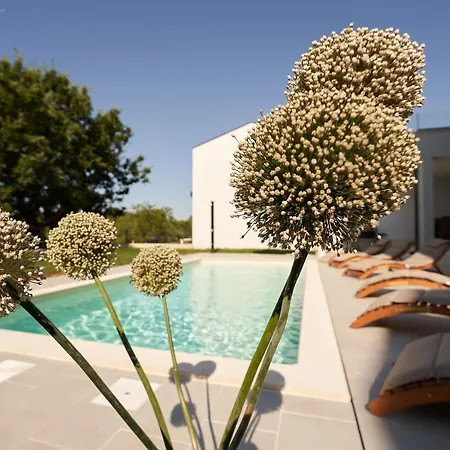 Martin Noel 빌라 포레치