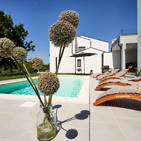 Вілла Martin Noel Пореч