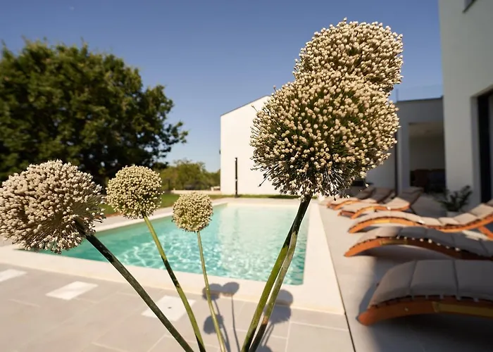 Martin Noel Villa Poreč