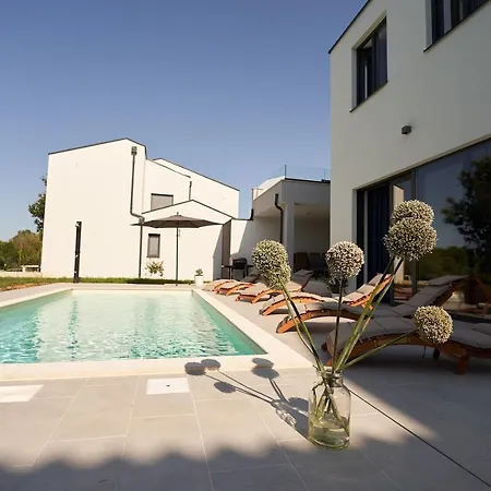 Martin Noel * بوريتش