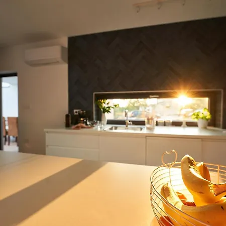 Martin Noel فيلة