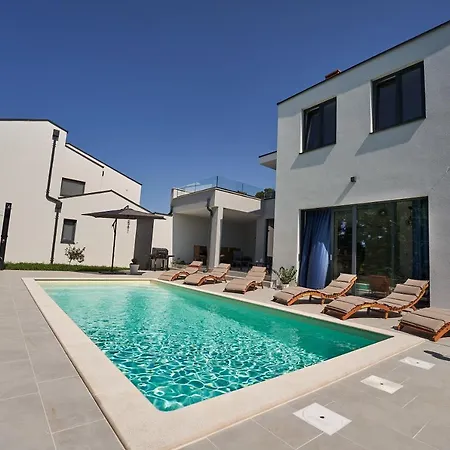 Martin Noel * بوريتش