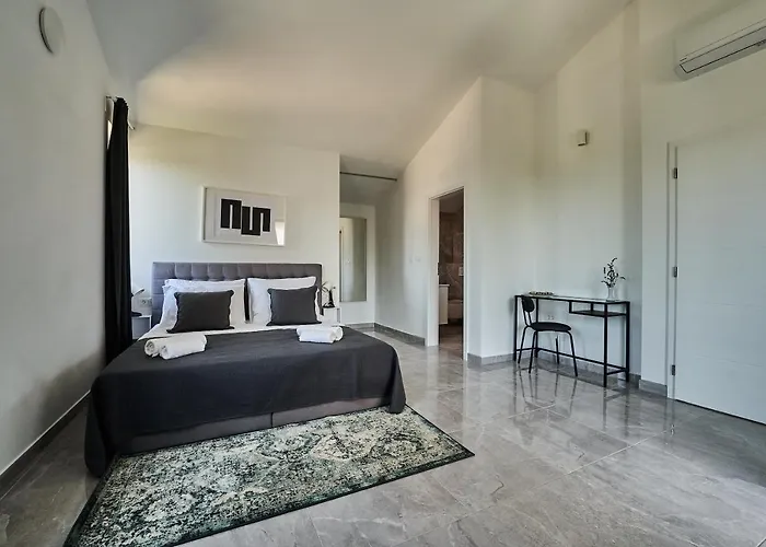 Martin Noel بوريتش