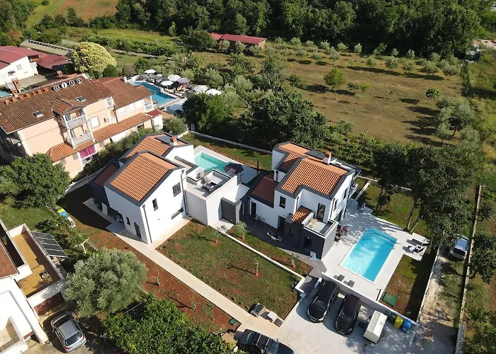 Martin Noel بوريتش