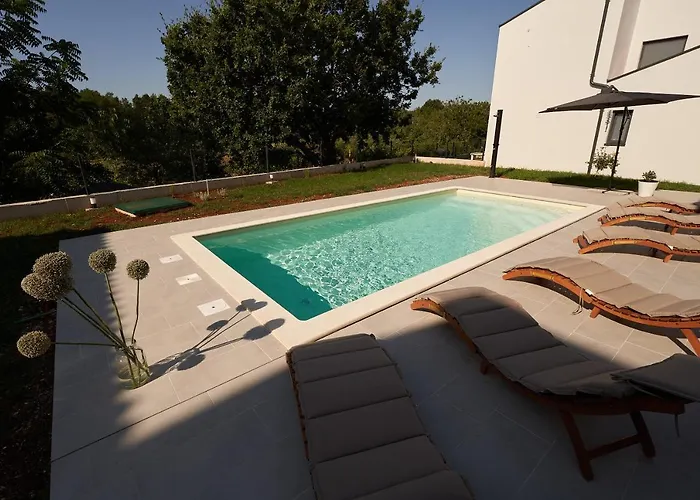 Martin Noel فيلة