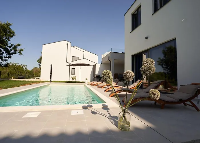 Martin Noel * بوريتش