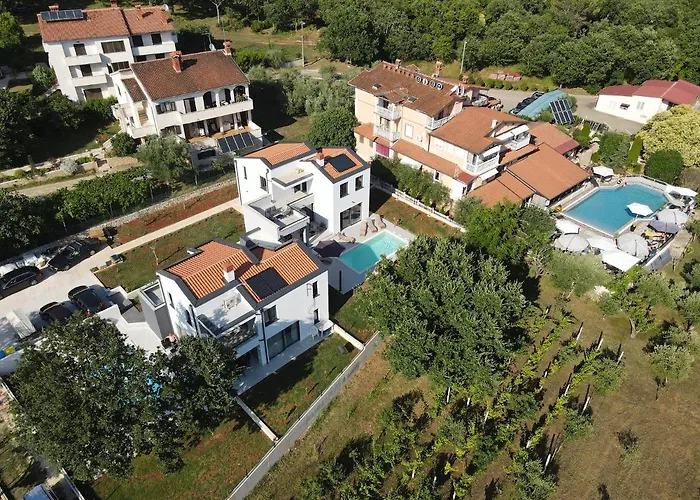 Martin Noel فيلة