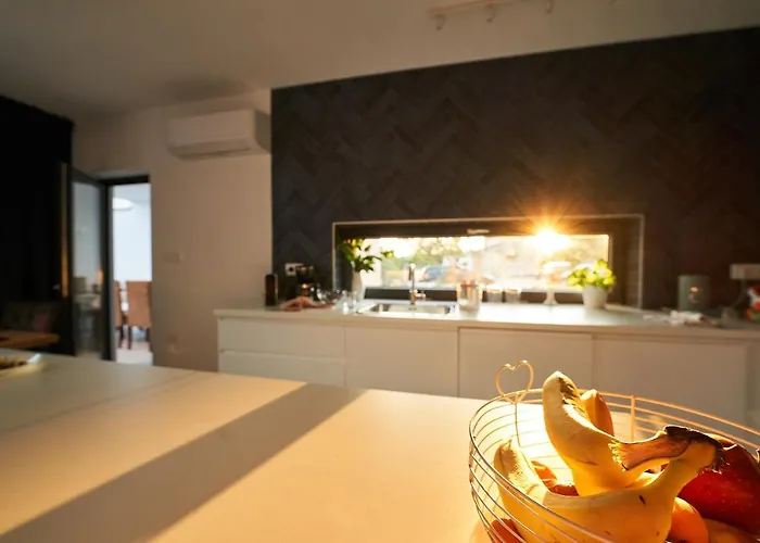 Martin Noel فيلة