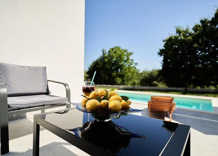 Martin Noel فيلة بوريتش